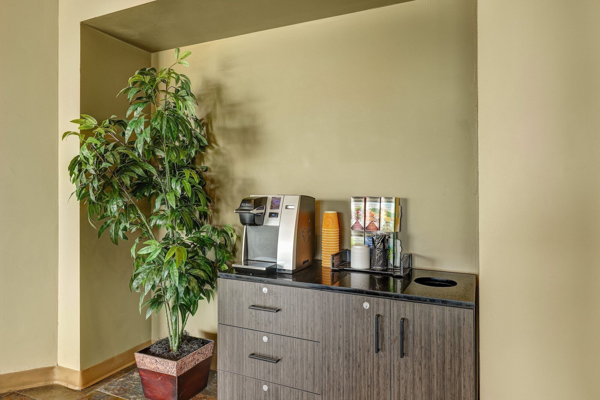 A kitchenette with a coffee machine, a stack of paper cups, and a potted plant.