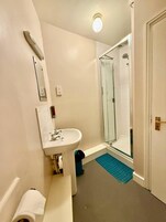 A bathroom with a sink, mirror, shower, and a blue mat on the floor.