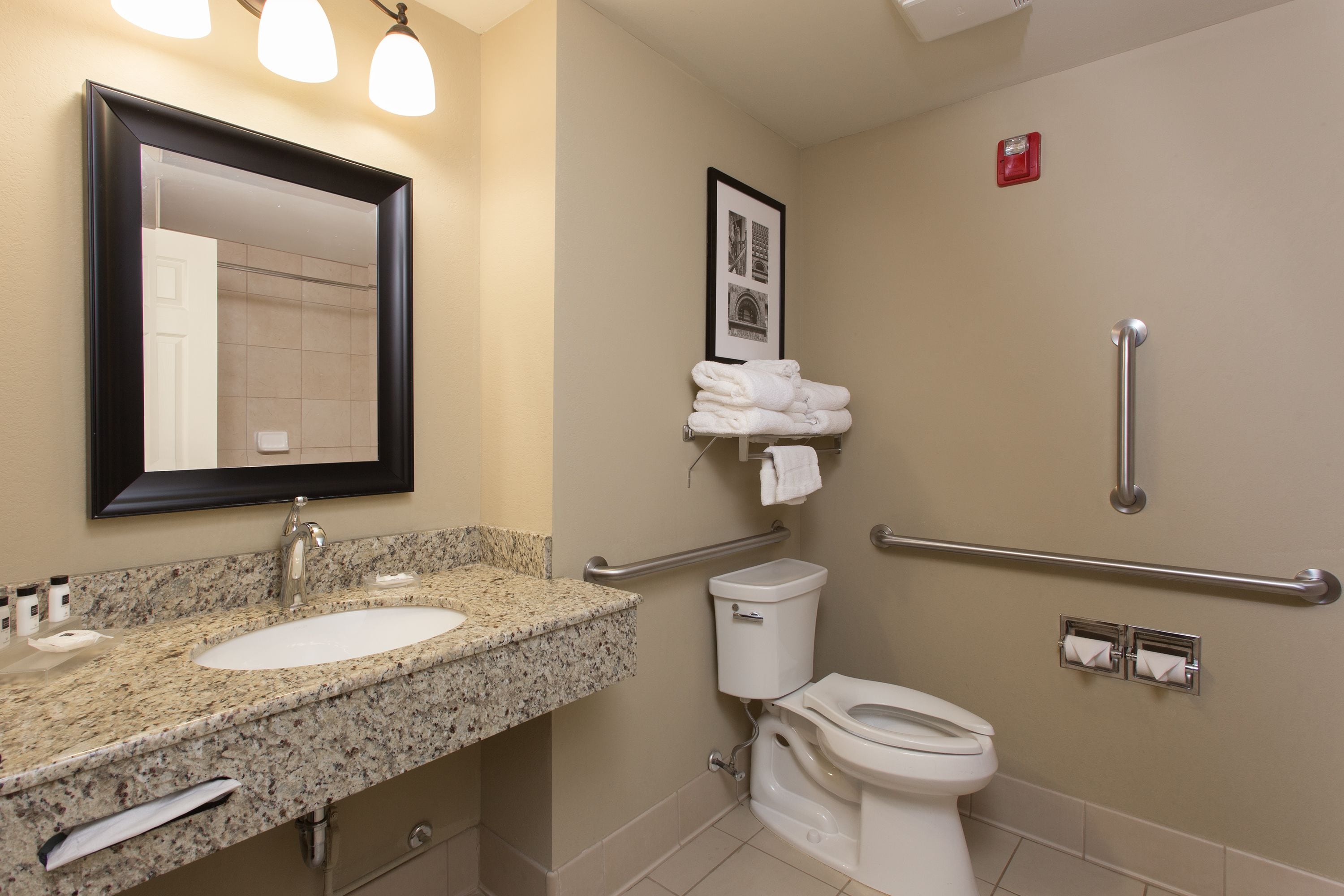 A bathroom with a sink, mirror, toilet, and handrails.