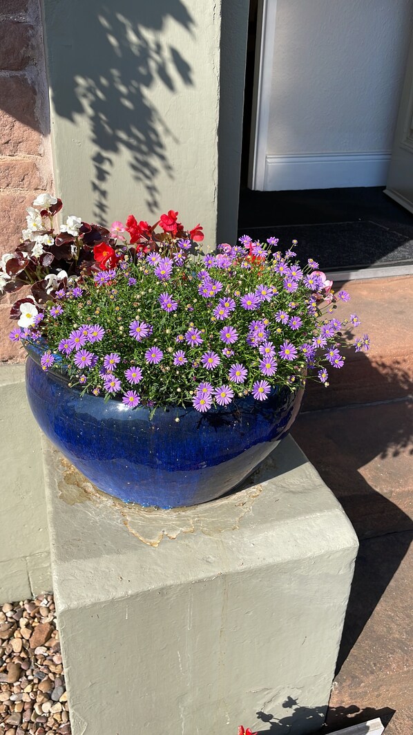 Ein großer, blauer Keramiktopf mit lilafarbenen und roten Blumen, auf einem Steinsockel vor einem Gebäude platziert.