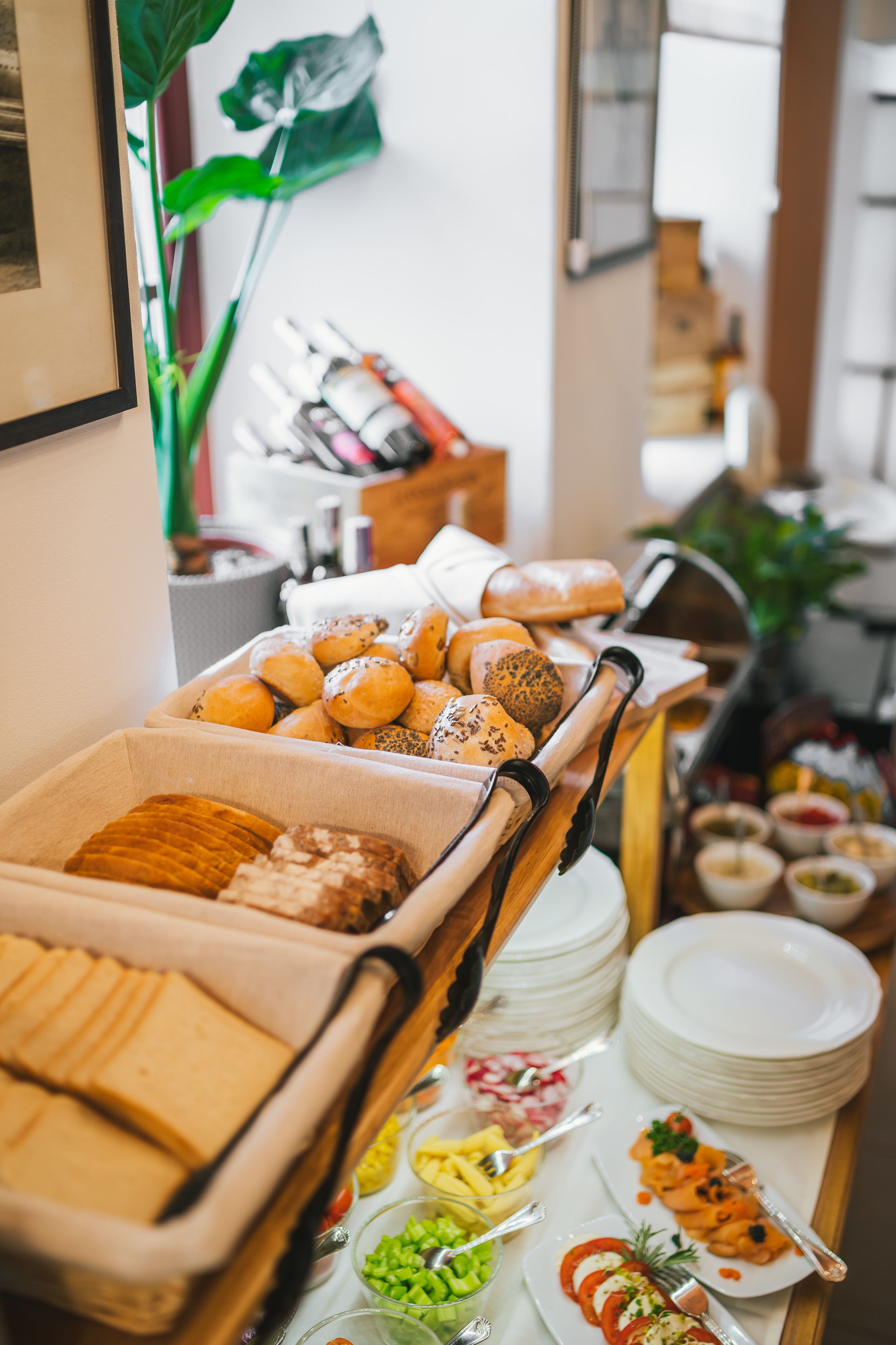 A buffet with various food items and a plant in the background.