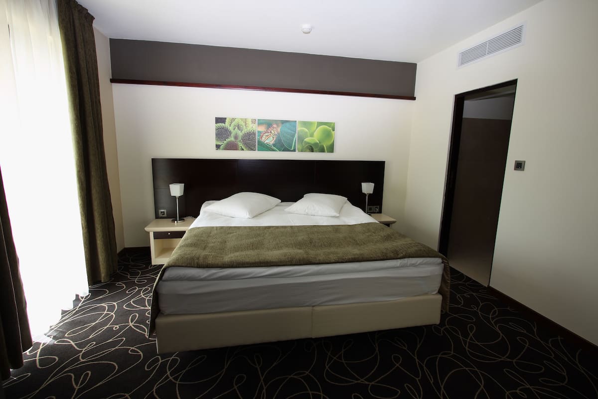1 chambre, minibar, coffres-forts dans les chambres, rideaux occultants