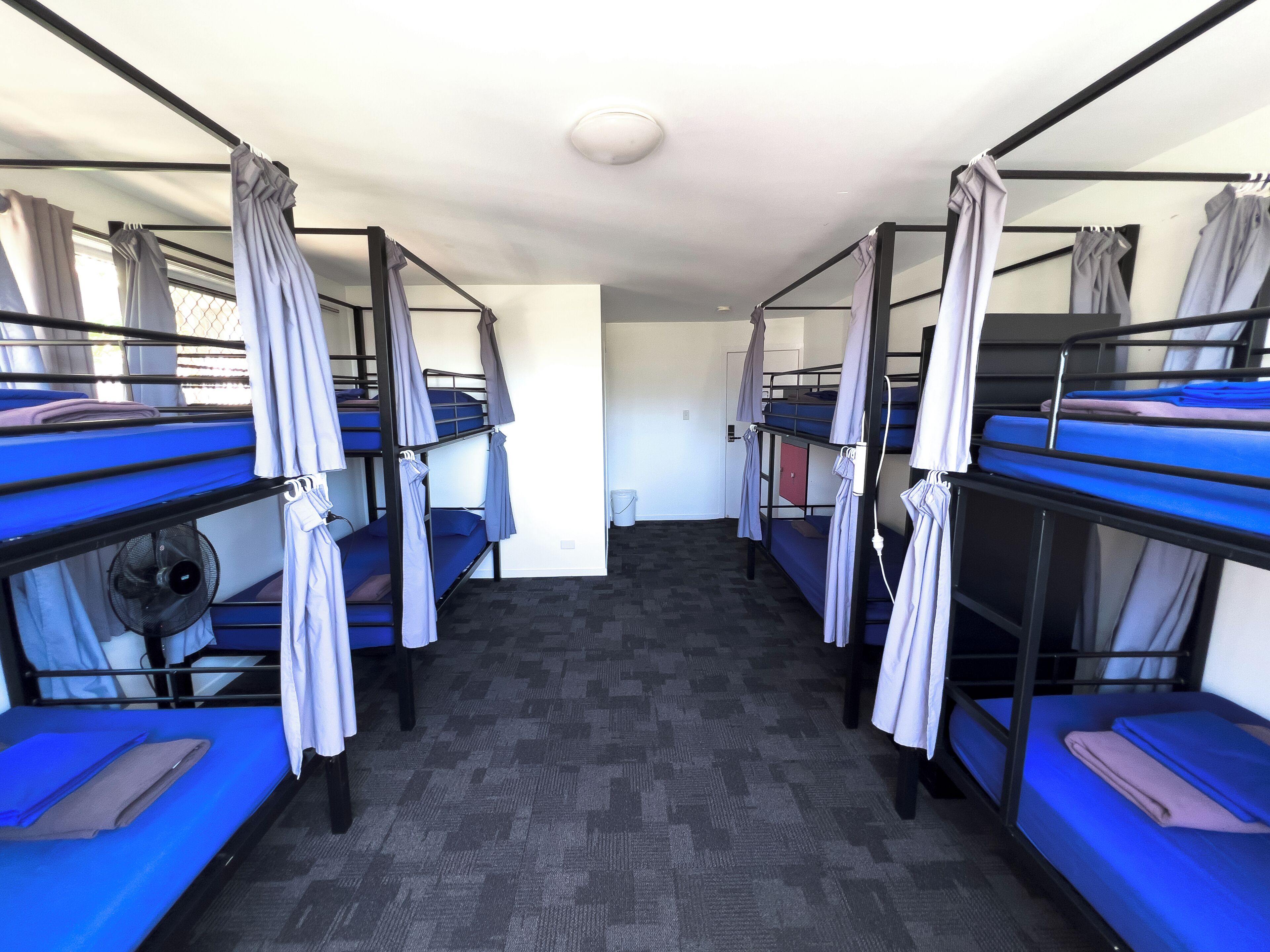 A dormitory room with bunk beds, a fan, and a carpeted floor.