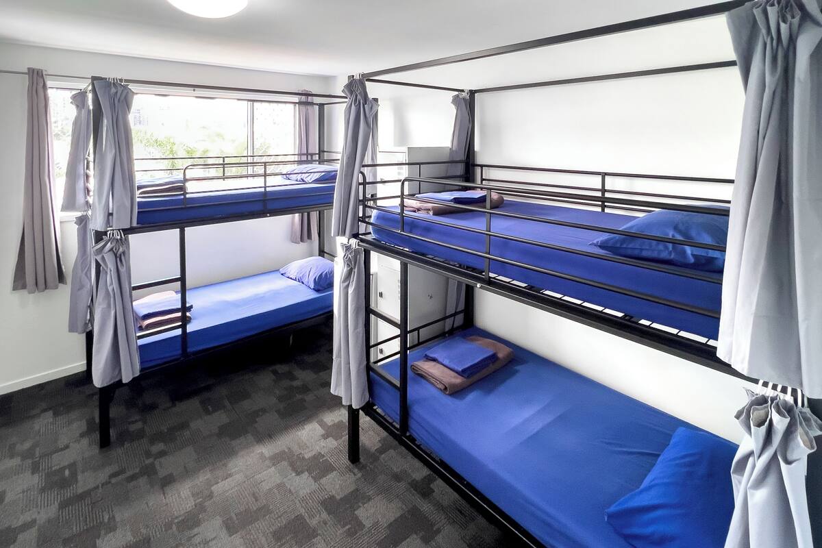 A dormitory room with bunk beds, a window with curtains, and a carpeted floor.