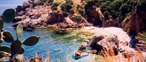 Playa privada en los alrededores y traslado desde/hacia la playa gratis 