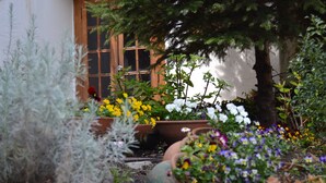 Un jardin agrémenté de diverses plantes et fleurs en pot, une porte en bois et un arbre.