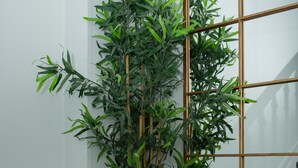 A tall, green bamboo plant in a woven basket on a carpeted floor next to a white wall and a mirrored staircase. - BeiRoom Hyde Park Apartments (London)