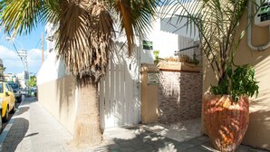Vistall de carrer amb una palmera, una porta blanca i una jardinera gran amb una planta.