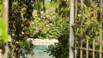 Piscine extérieure, piscine à débordement