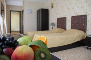 Phòng 2 giường đơn Tiêu chuẩn | Minibar, bàn, phòng cách âm, bàn ủi/dụng cụ ủi quần áo 