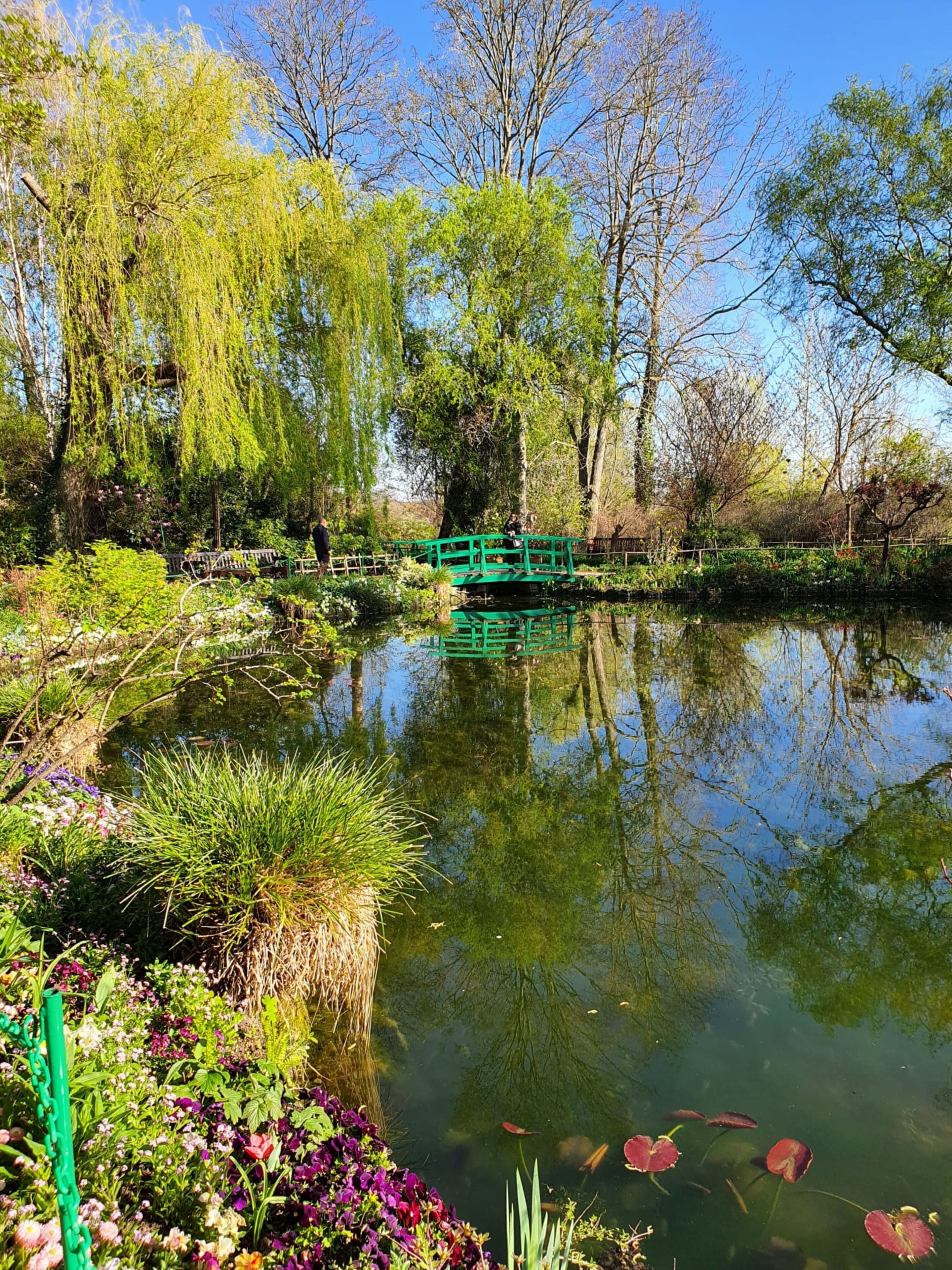 A tranquil pond with a green bridge, surrounded by lush greenery and trees.