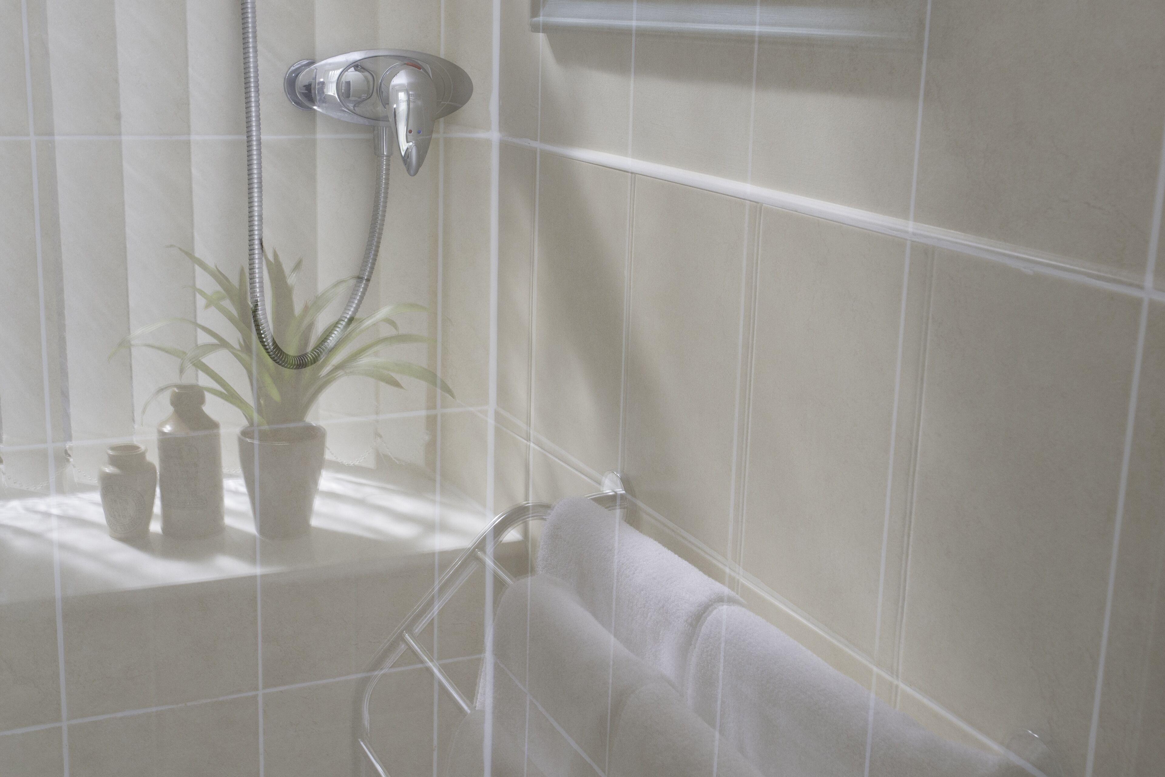 Un baño con ducha, perchero y planta en maceta.