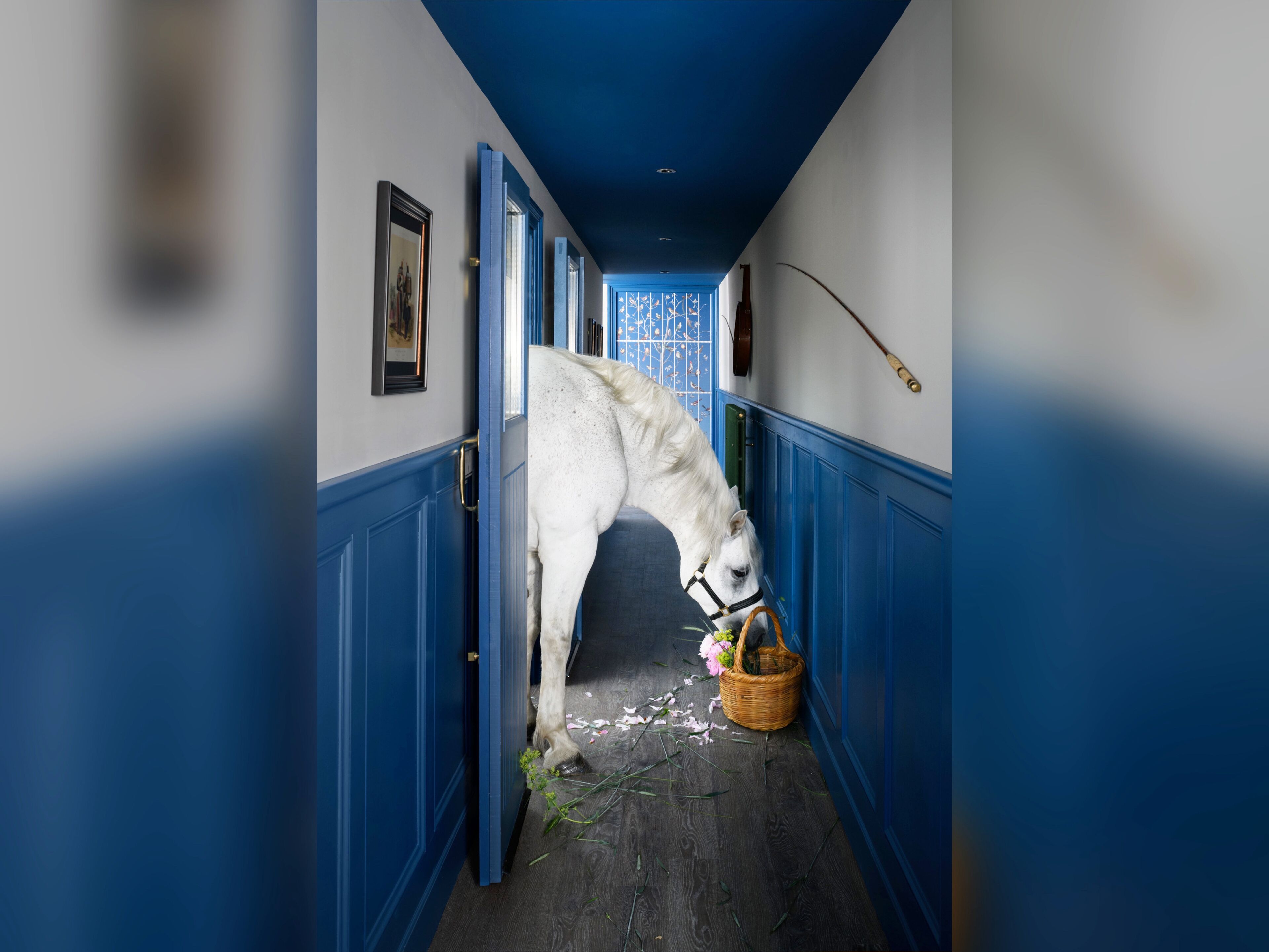 Superior Cottage, Ensuite (1 Bed-Stables-No Stairs) | Interior