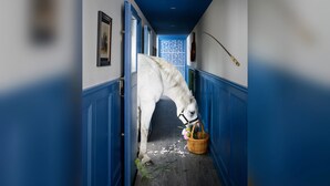 Een hal met blauwe wanden en houten vloeren, die leidt naar een ruimte met een raam en een deur.