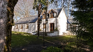 Trädgård