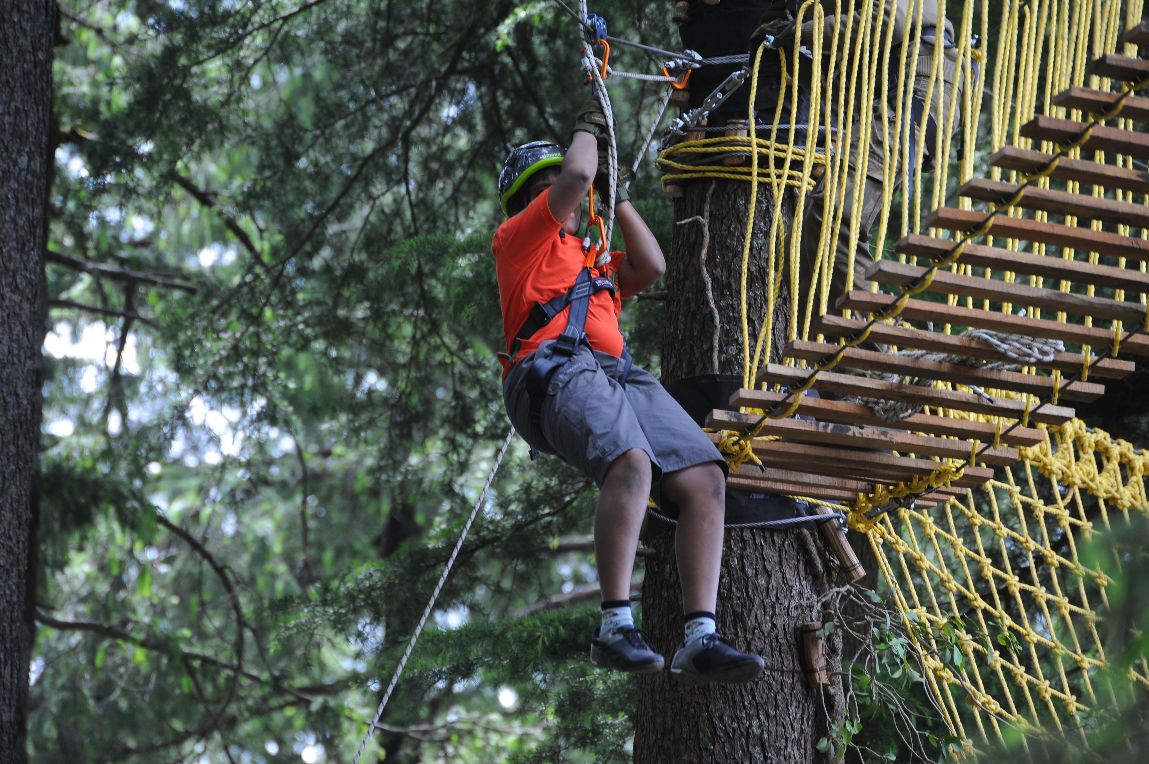 A person climbing a tree with a rope ladder.