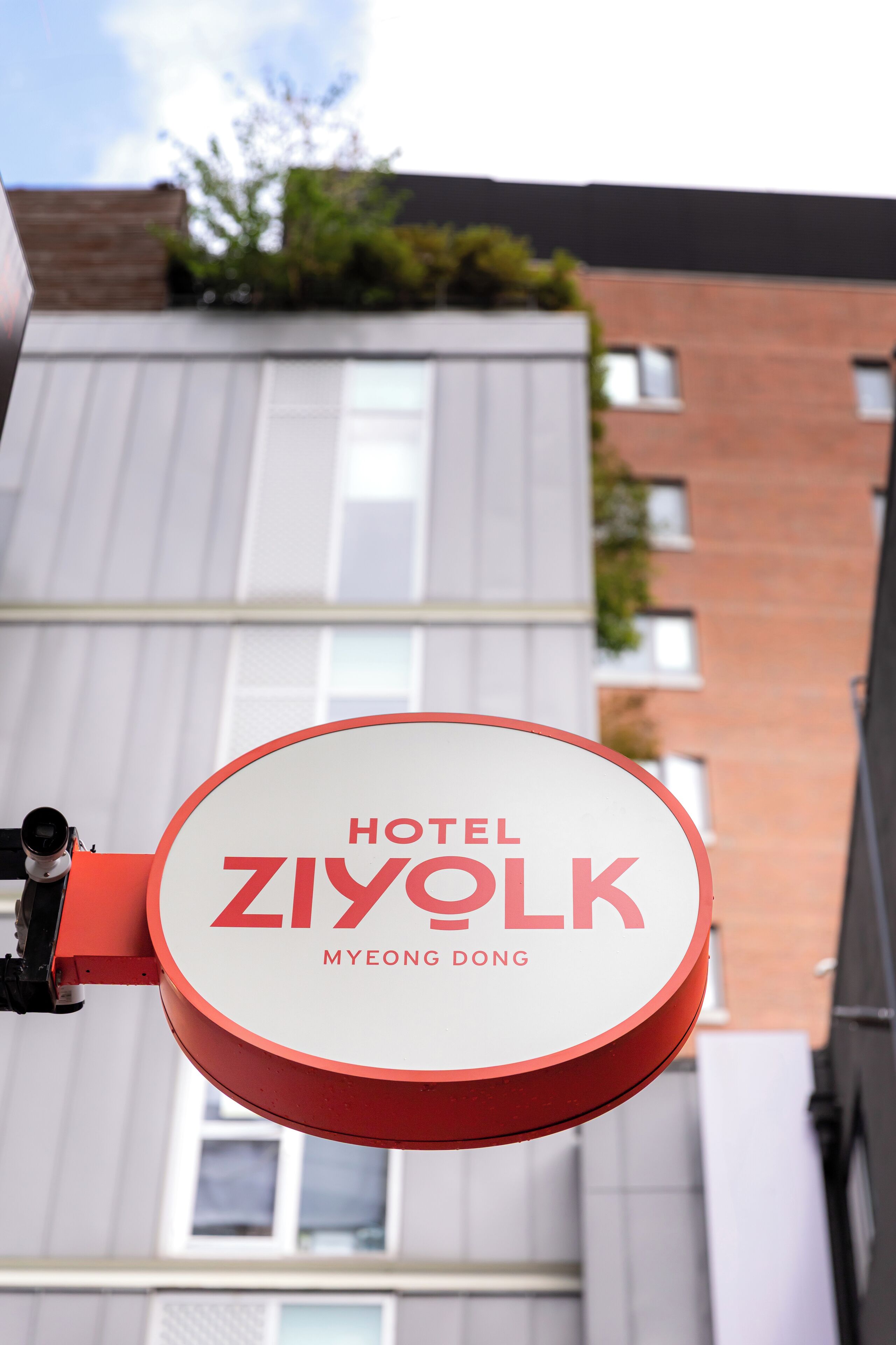 Foto - ZIYOLK Myeongdong