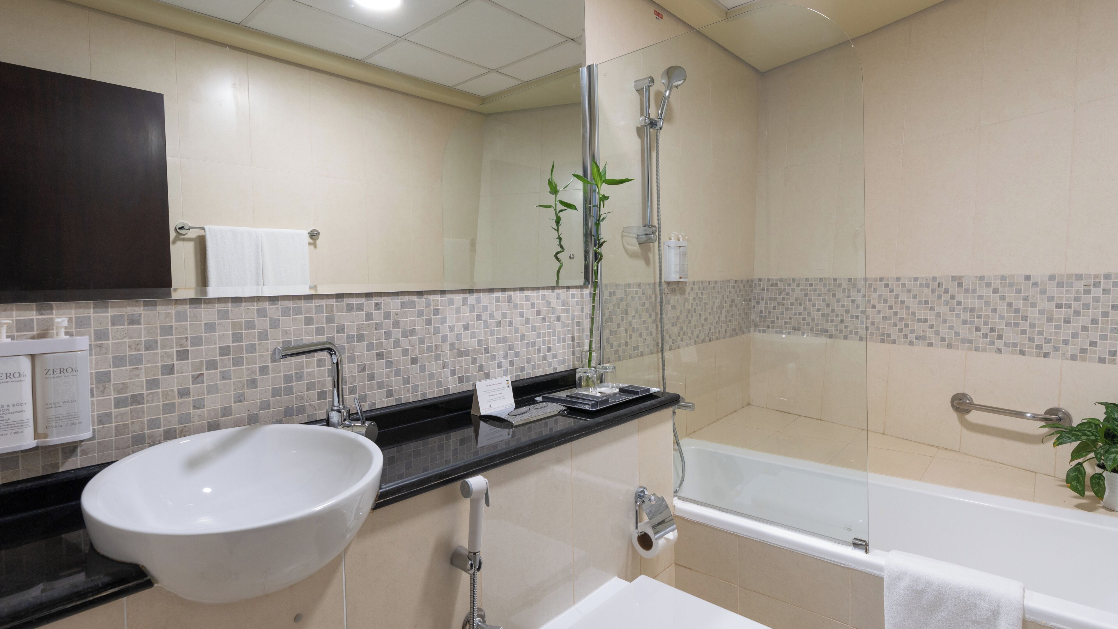 Un bagno moderno con un lavandino capiente, una vasca e uno spazio doccia.