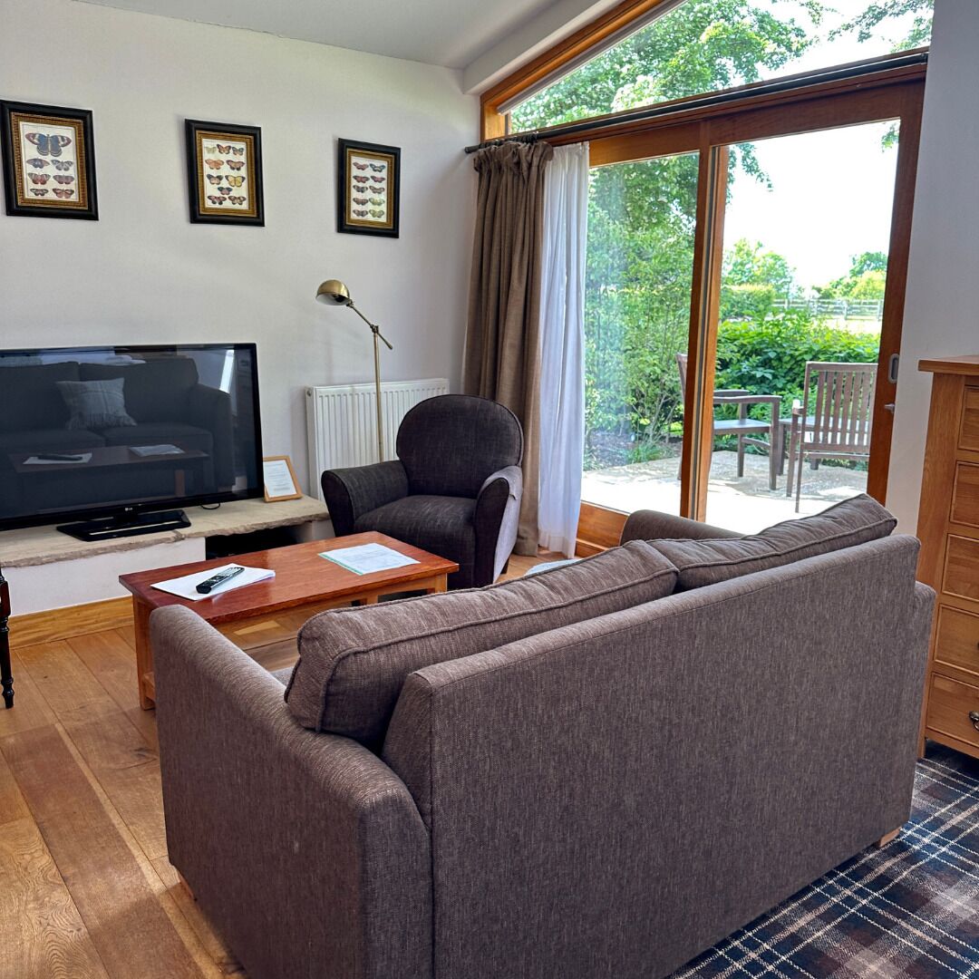 Una sala de estar con sofá, televisor, sillón y mesa. Hay cuadros en la pared y una ventana con cortinas.