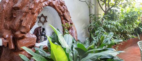 A garden with a rock formation, a Star of David, and various plants.