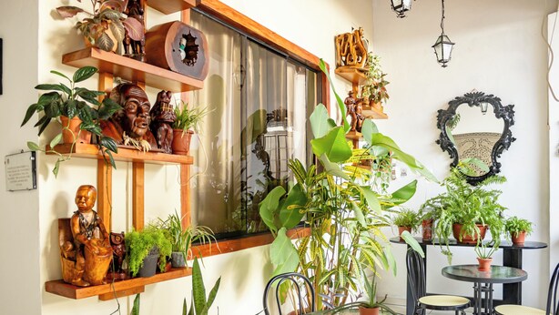 A room with a wooden shelf holding various items, a window with curtains, a table with chairs, and several potted plants. - Hotel La Casona (Iquitos)