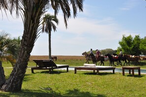 Unclassified image, 2 of 36, button - Estancia Don Joaquin (Esquina)