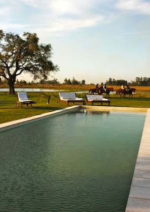 Outdoor pool, pool loungers