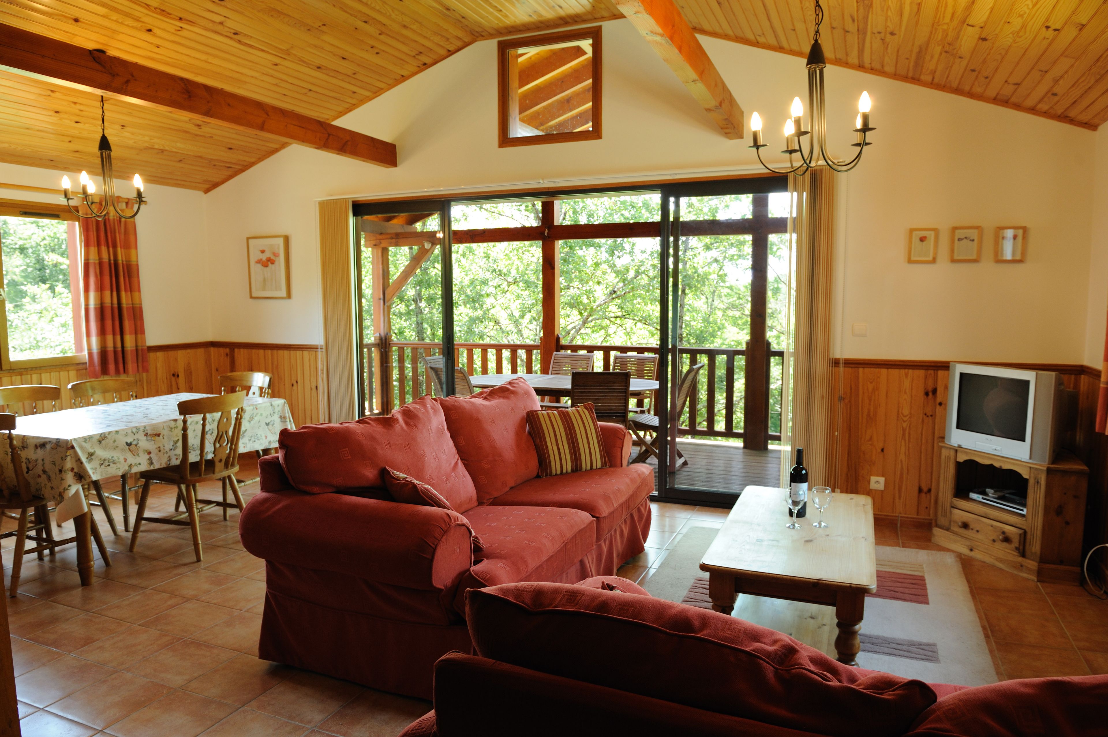 电视、DVD 播放器