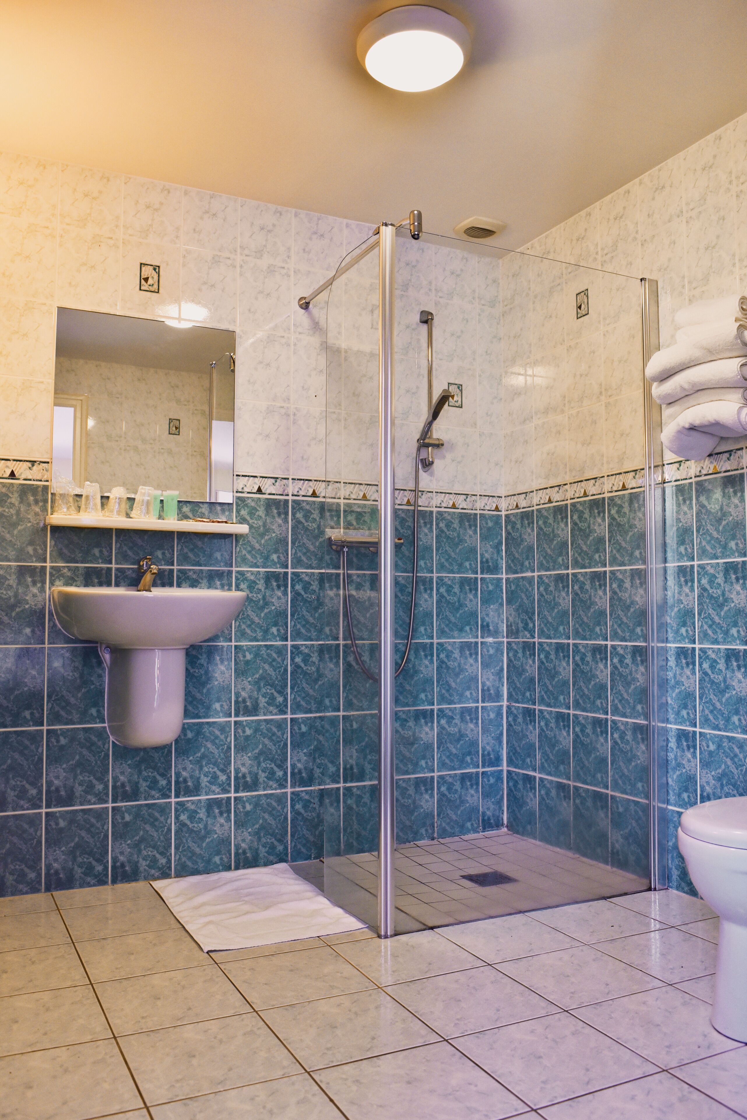 shower, free toiletries, hair dryer, towels