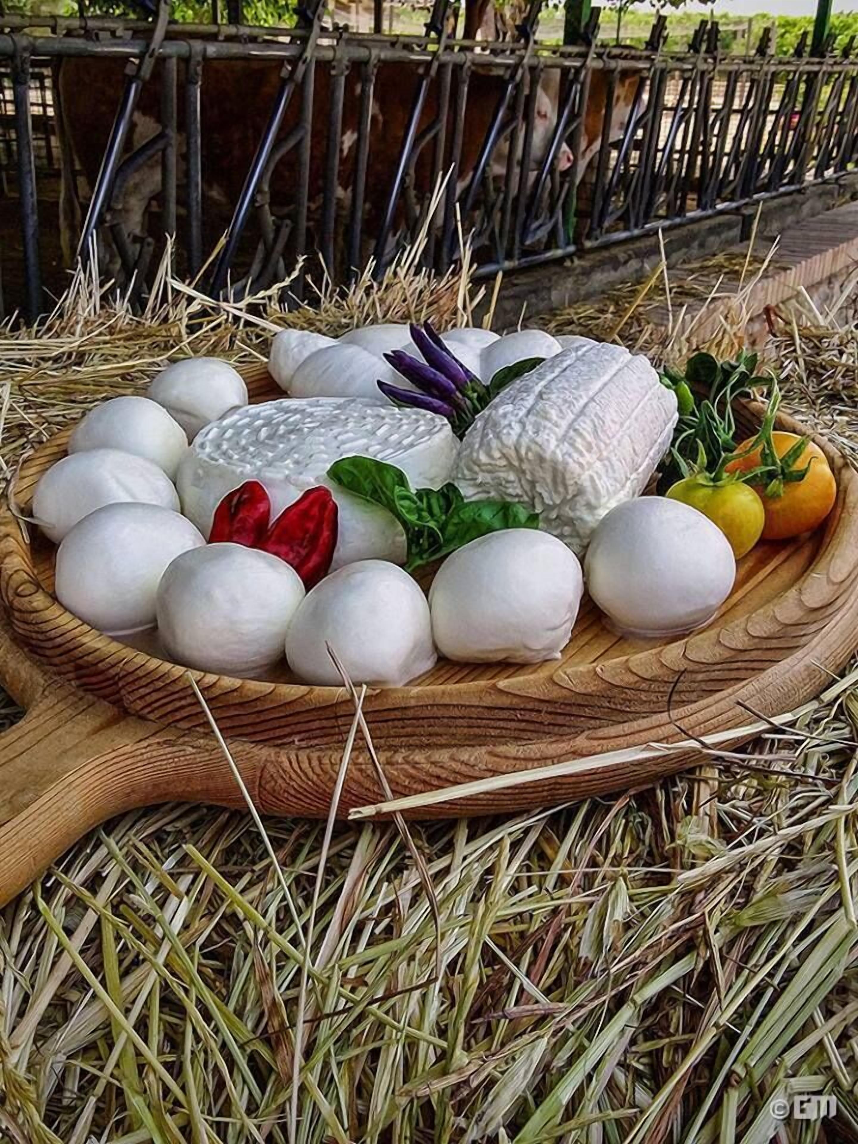 A wooden tray filled with white cheese balls, a large cheese wheel, and some vegetables.