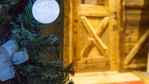 A Christmas tree with a poinsettia and a white ornament. - Hotel Sauze (Sauze d'Oulx)