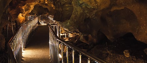 Speleologie