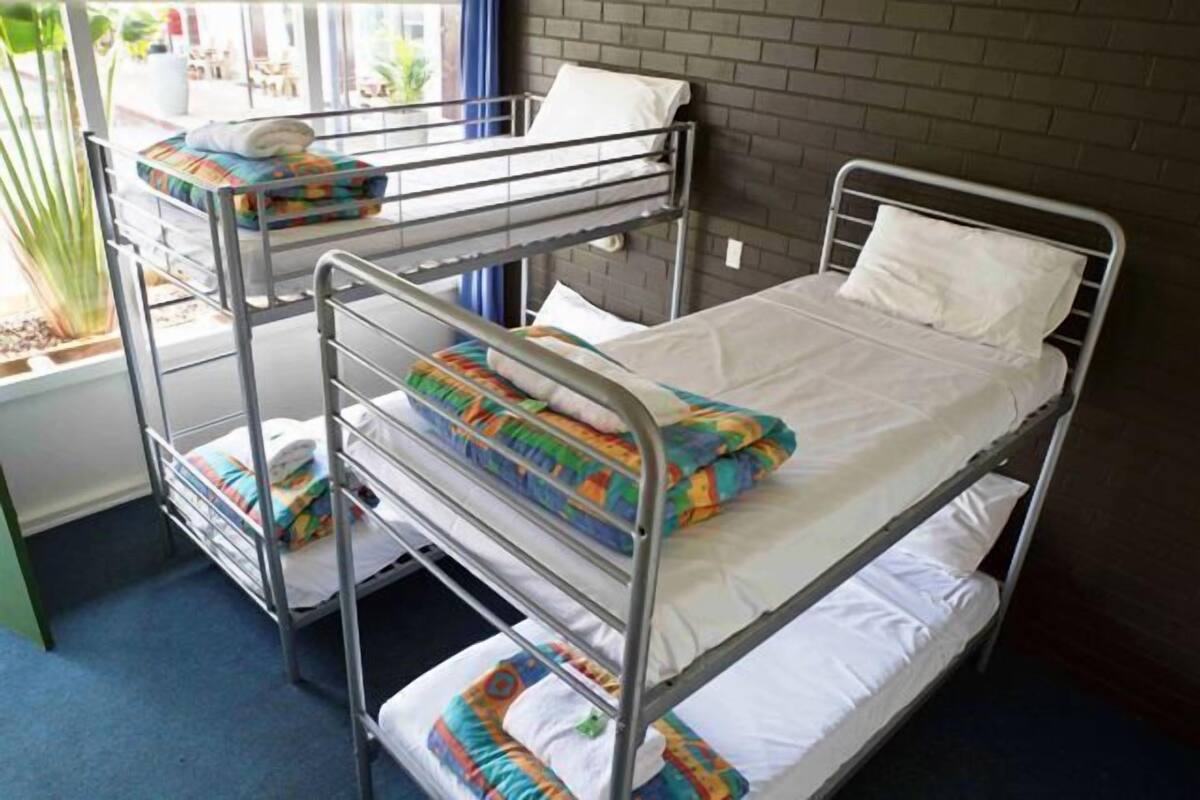 A bunk bed room with a window view, a brick wall, and a blue carpet.