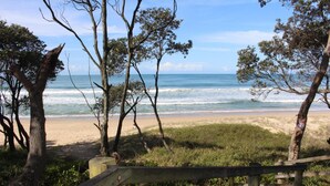A beach with trees and a wooden fence in the foreground. - Hoey Moey Backpackers - Hostel (Coffs Harbour)