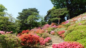 A garden with a stone staircase surrounded by various flowering shrubs. - Hotel Resol Ikebukuro (Tokyo)