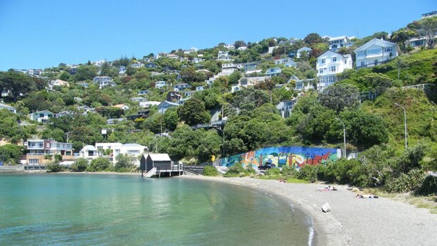 A coastal area with a clear beach, a pier, and hillside houses. - Bella Vista Motel Wellington (Wellington)
