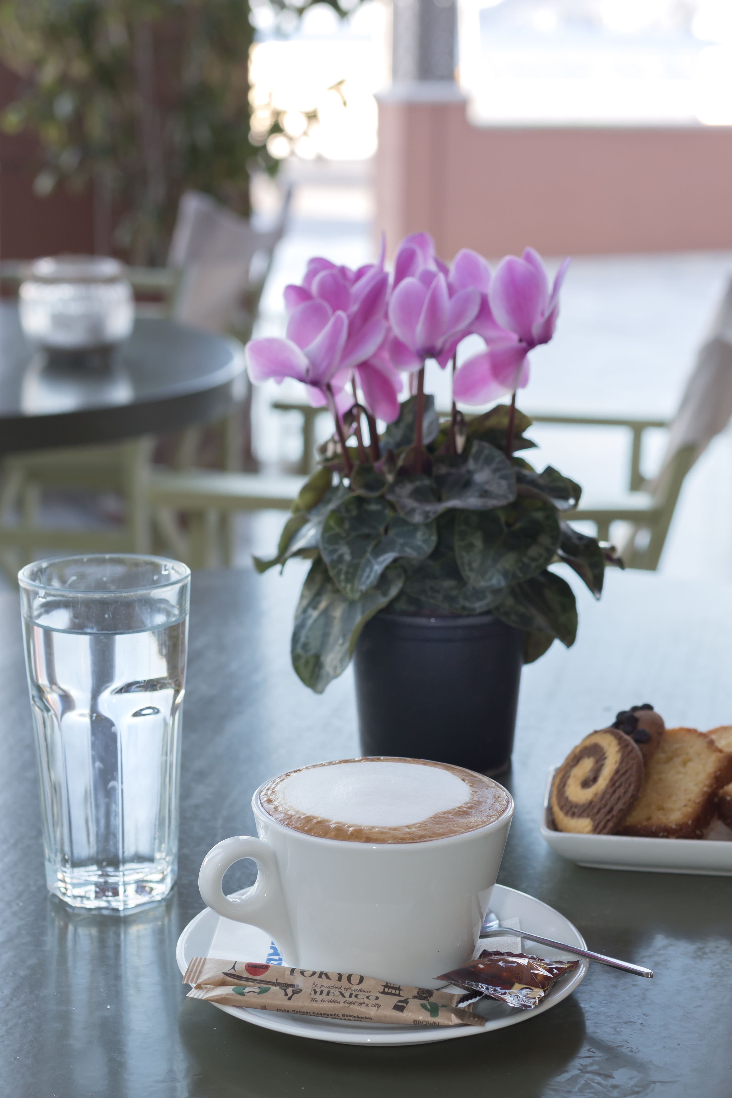 A table with a cup of coffee, a glass of water, a plate of cookies, and a potted plant with pink flowers.