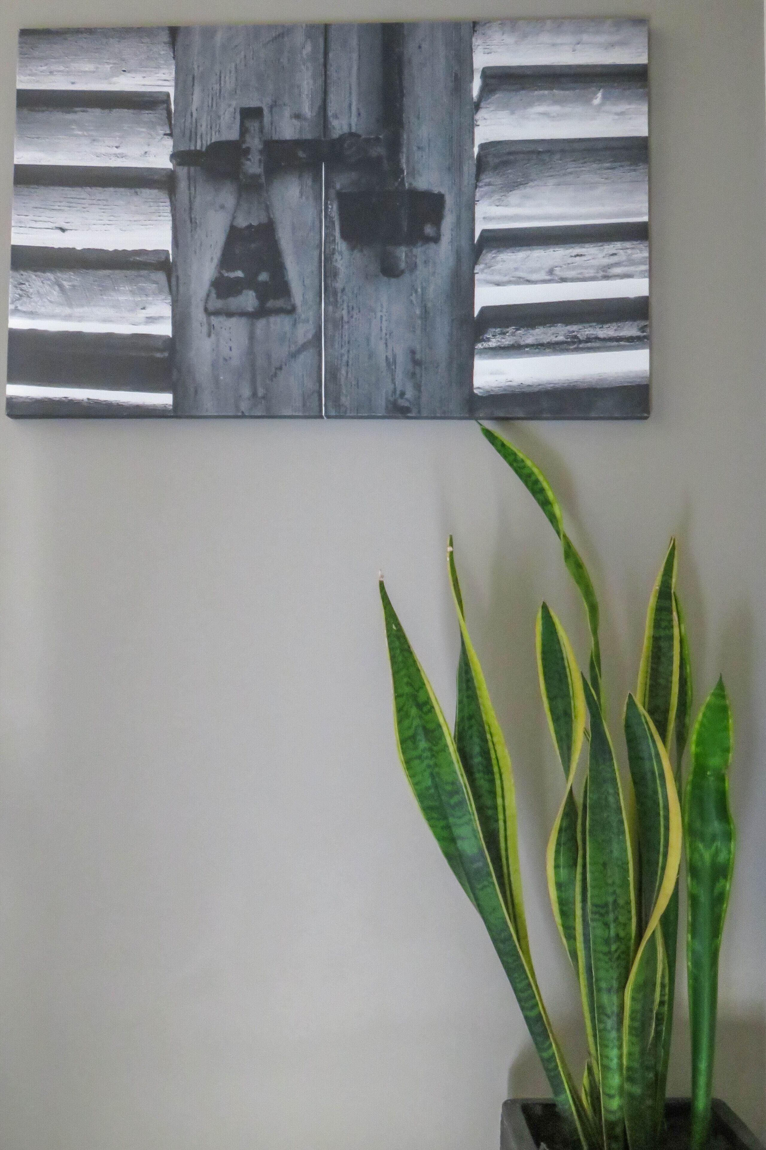 A wall-mounted artwork depicting a rustic scene with a wooden structure and a metal object, and a potted plant with long, striped leaves.