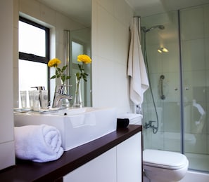 Shower, free toiletries, hair dryer, towels