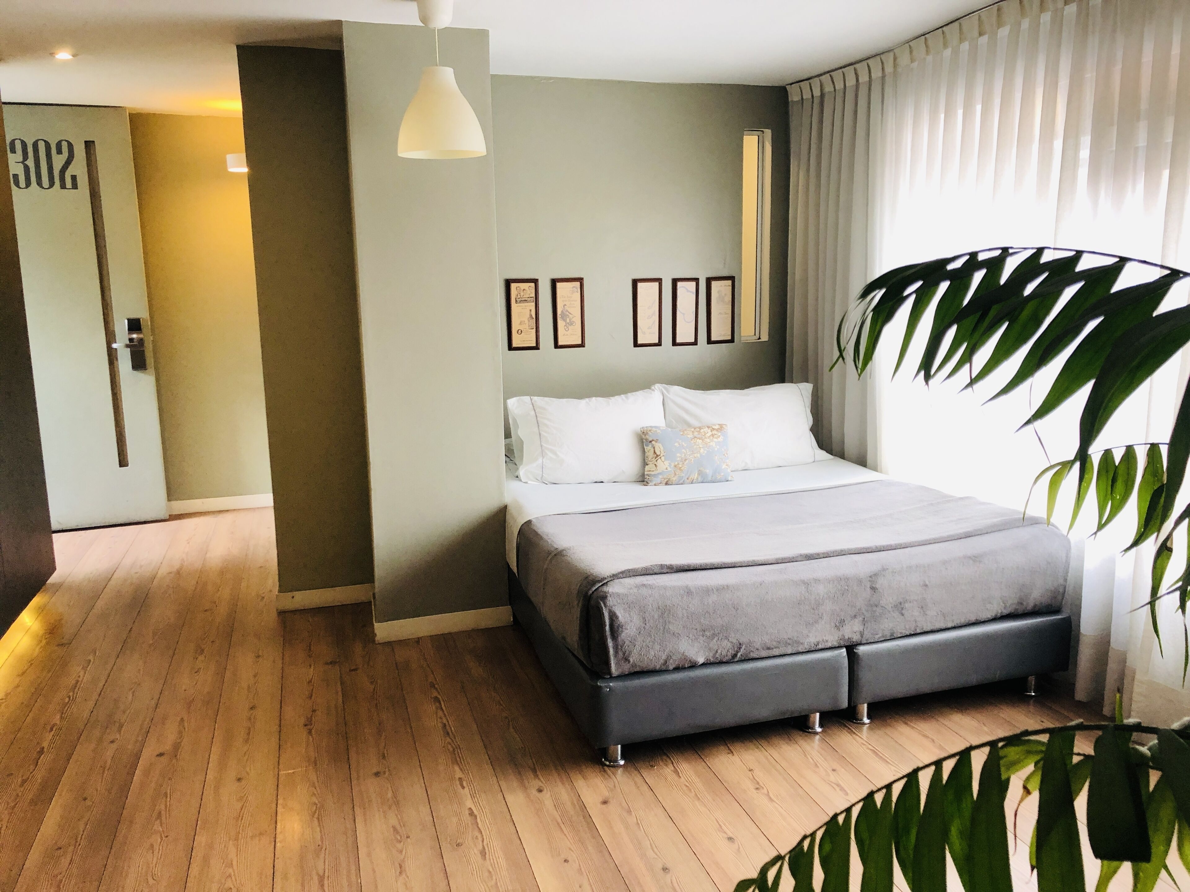 Un dormitorio con cama, una puerta con número, una lámpara colgante y una planta.
