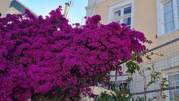 Un edificio con un balcón y un gran arbusto de flores moradas.