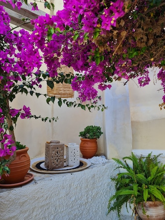 Terraza o patio. Hotel Omiros