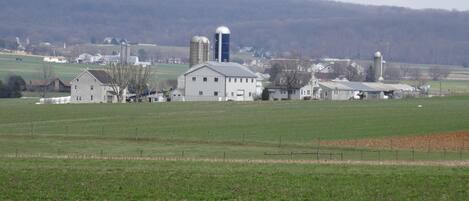 A rural farmstead with a large farmhouse, barns, and silo structures.