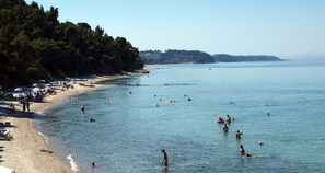 Beach nearby - Hotel Pighi (Kassandra)
