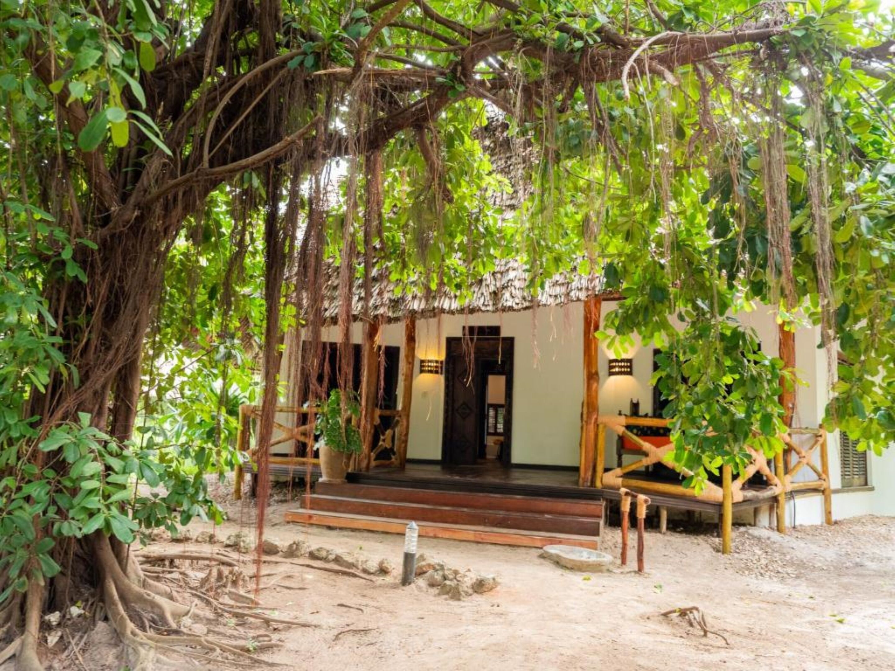 standard bungalow | view from room