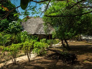 Ngoại thất