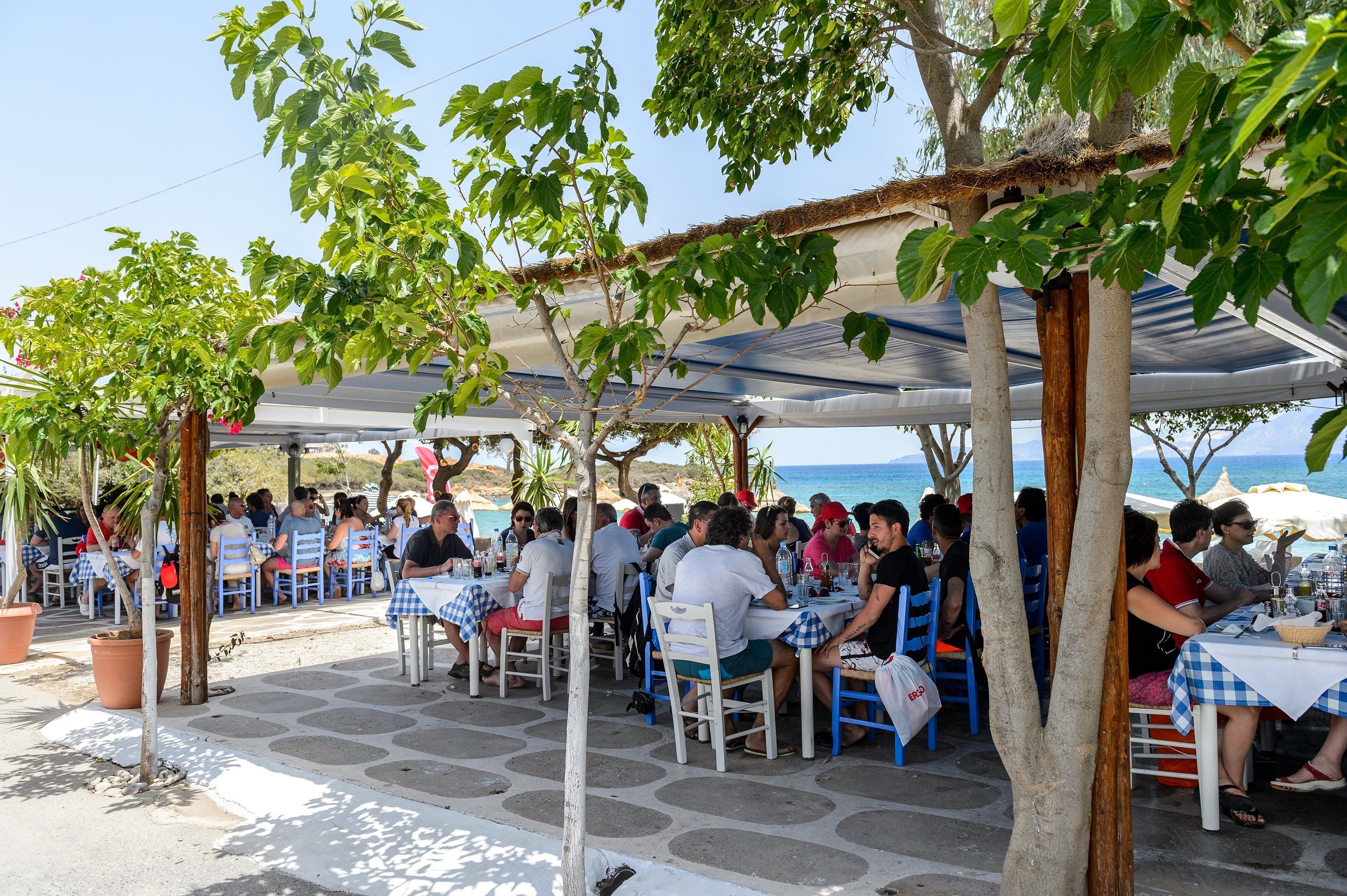 An outdoor dining area with tables and chairs under a shaded pergola, overlooking a body of water.