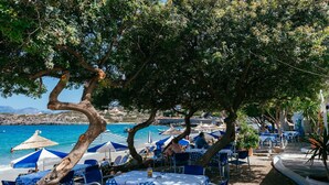 Ein Restaurant am Meer mit Außenbereich, Tischen und Sonnenschirmen.