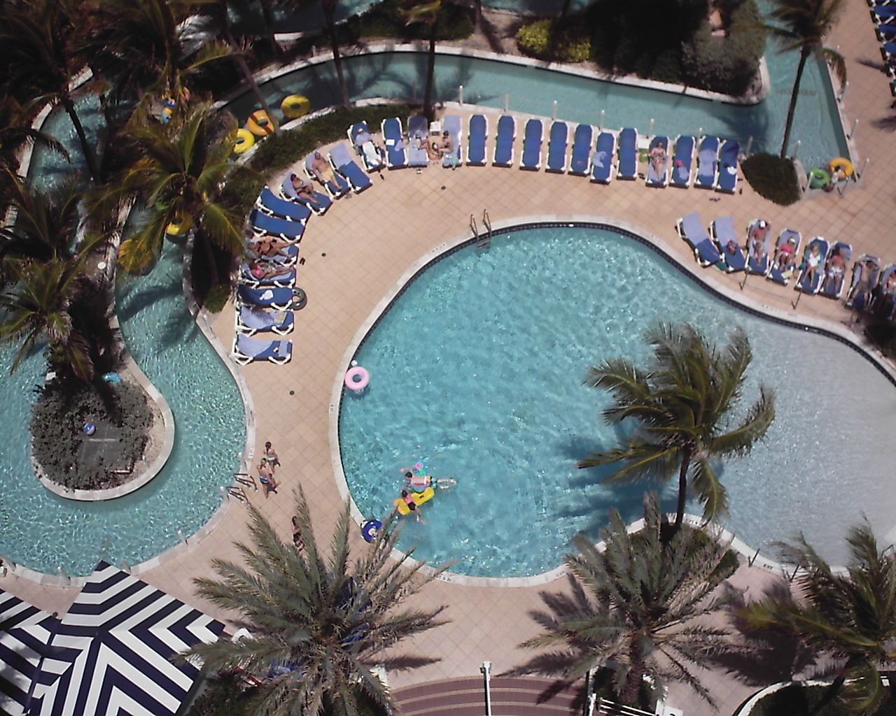 outdoor pool, pool umbrellas, pool loungers