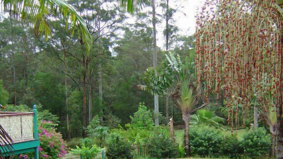 Riviera Bed and Breakfast